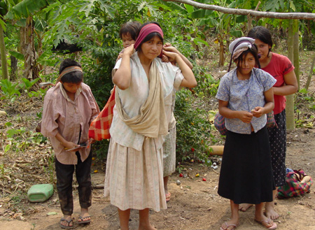 Världens friskaste hjärtan – tack vare motion och kolhydrater